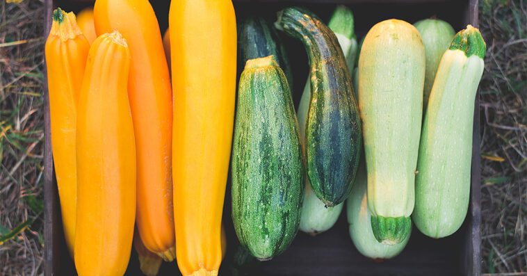 Is it okay to eat raw squash?