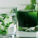 Is it safe to drink chlorophyll everyday?