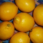 Is limoncello an aperitif or digestif?