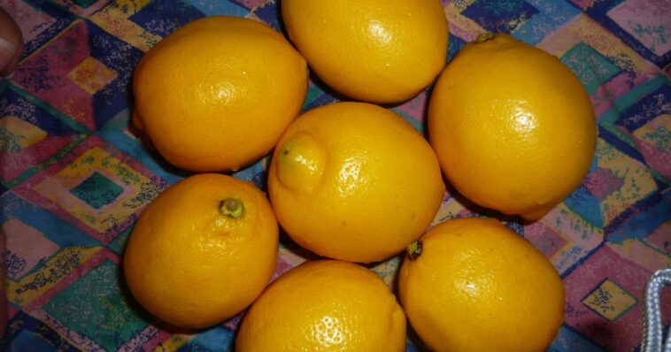 Is limoncello an aperitif or digestif?