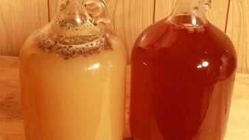 Is mead like wine or beer?