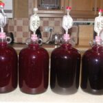 Is mead more beer or wine?