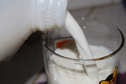 Is milk a GMO?
