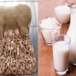 Is oat milk basic or acidic?