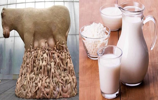 Is oat milk basic or acidic?