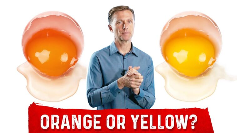 Is orange yolk better?