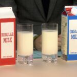 Is organic milk really better for you?