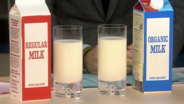 Is organic milk really better for you?
