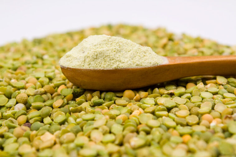 Is pea and rice protein good?