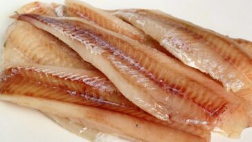 Is pollock a healthy fish?