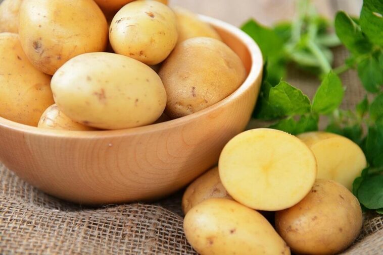 Is potato healthier than rice?