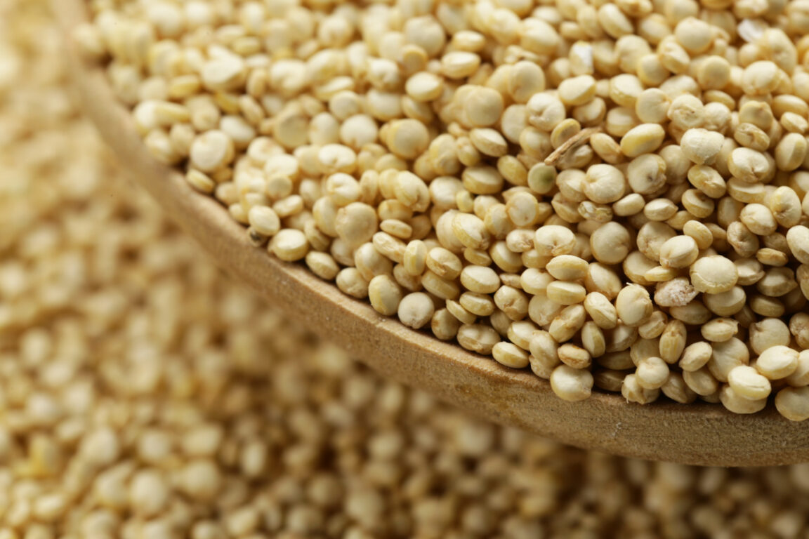 Is quinoa a grain or millet?