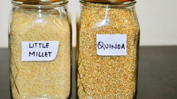 Is quinoa and Ragi same?