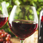 Is red wine a probiotic?
