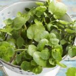 Is romaine more nutritious than kale?