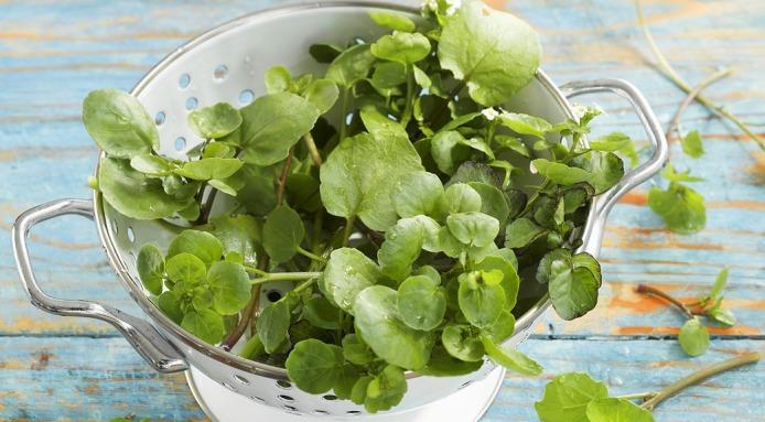 Is romaine more nutritious than kale?