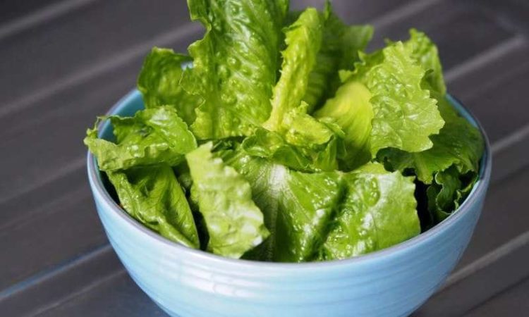 Is romaine the healthiest lettuce?