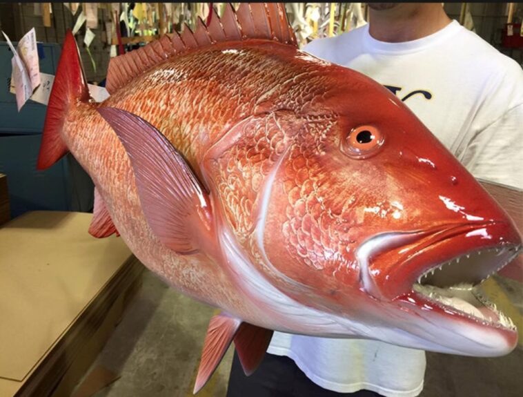 Is snapper fish good for health?