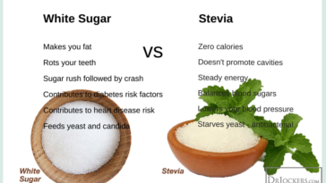 Is stevia better than sucralose?