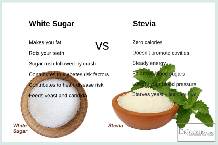 Is stevia better than sucralose?