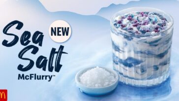 Is the Seasalt McFlurry nice?