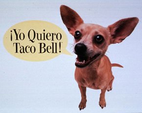 Is the Taco Bell dog still alive?