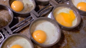 Is the egg at McDonalds real?