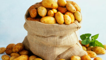 Is the potato diet healthy?