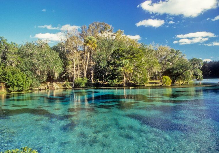 Is there a Costco in Ocala Florida?