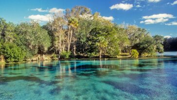 Is there a Costco in Ocala Florida?