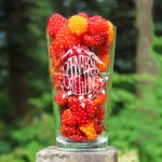 Is there a Whole Foods in Alaska?