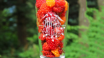 Is there a Whole Foods in Alaska?