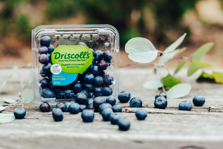 Is there a recall on Driscoll blueberries?