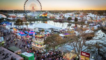 Is there an in and out in Tampa Florida?