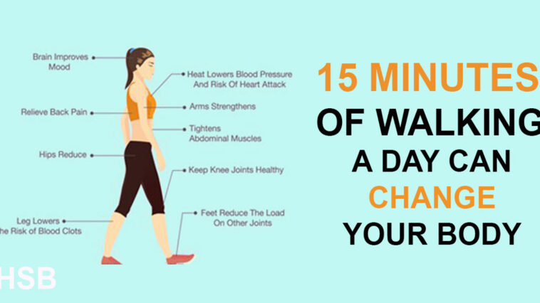 Is walking 2 hours a day good?