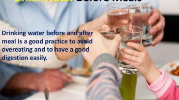 Should I drink kombucha before or after a meal?