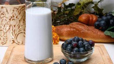 Should I drink protein shakes if I am trying to lose weight?