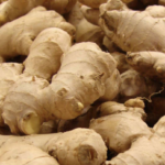 Should ginger be refrigerated?