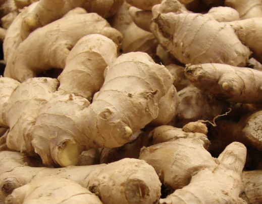 Should ginger be refrigerated?