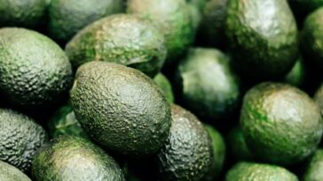 Should you refrigerate avocados?