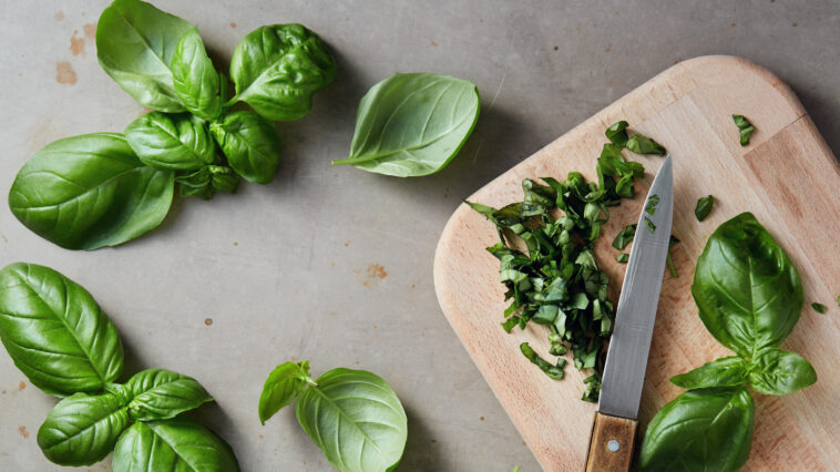 Should you refrigerate basil?