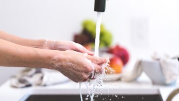 Should you wash hands before cooking?