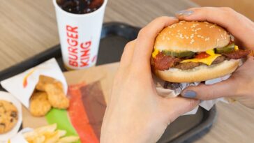 Was Mcdonalds popular in the 1980s?