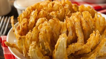 What appetizers does the outback have?