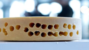 What are 10 popular cheeses made in the United States?