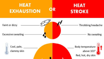 What are 3 signs of heat exhaustion being too hot?