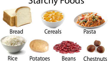 What are 5 examples of starchy foods?