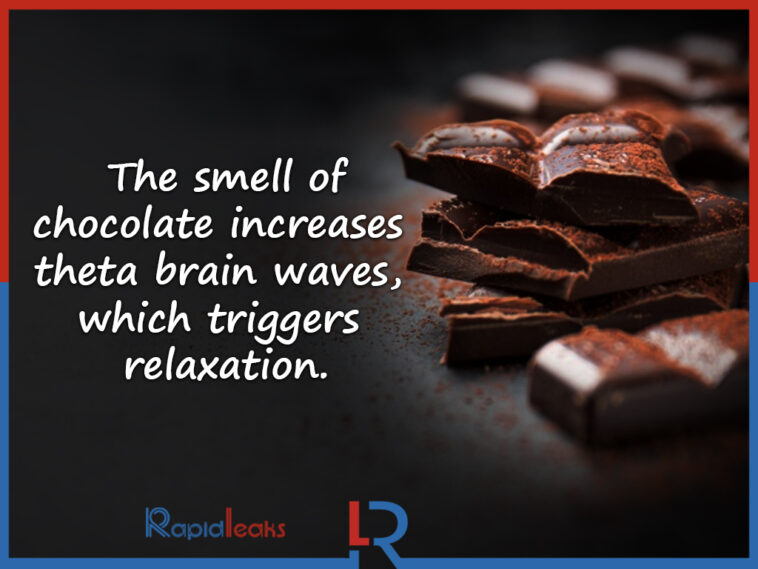 What are 5 interesting facts about chocolate?