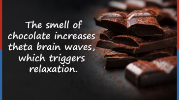 What are 5 interesting facts about chocolate?