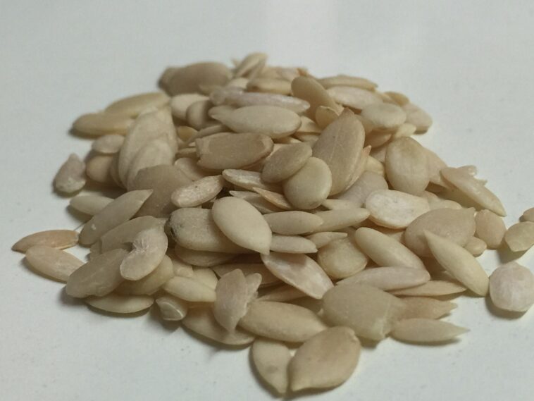 What are Magaz seeds?